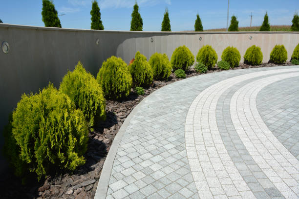 Professional Driveway Pavers in Wilder, ID